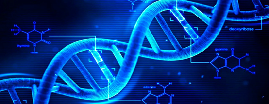 DNA